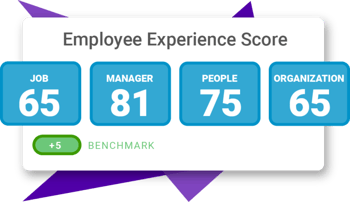 Employee-XP-Score-768x444.png