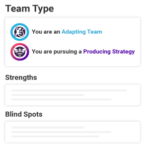 Team type PI
